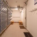 Style - 9 Apartment Kaprun